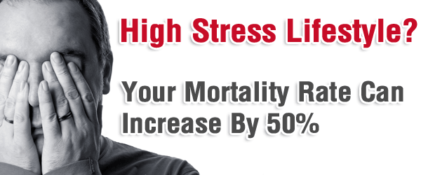 High Stress Lifestyle? Your Mortality Rate Can Increase By 50%