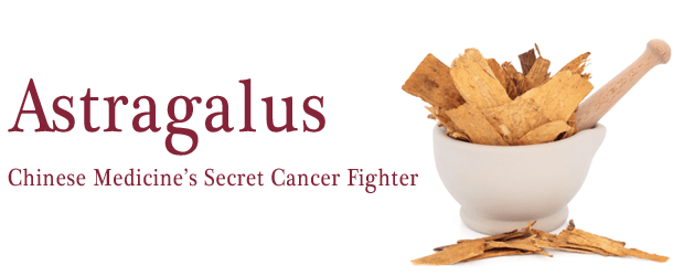 Astragalus, Chinese Medicine’s Secret Cancer Fighter