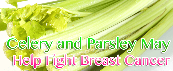 Celery and Parsley May Help Fight Breast Cancer