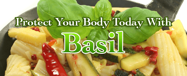Protect Your Body Today With Basil