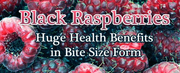 Black Raspberries - Huge Health Benefits in Bite Size Form