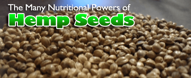 The Many Nutritional Powers of Hemp Seeds