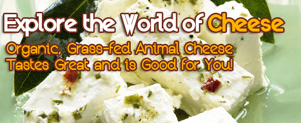 Explore the World of Cheese - Organic, Grass-fed Animal Cheese Tastes Great and is Good for You!