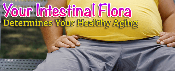 Your Intestinal Flora Determines Your Healthy Aging