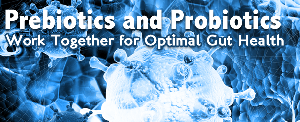 Prebiotics and Probiotics Work Together for Optimal Gut Health
