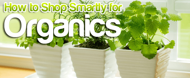 How to Shop Smartly for Organics