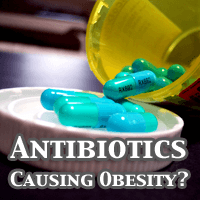 Are Antibiotics Causing Obesity?