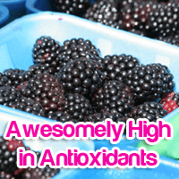 Blackberries Top the List of Foods Highest in Antioxidants