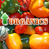 Organic Food Availability and Buying Habits on the Rise