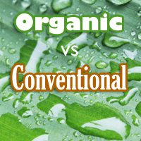 Organic vs Conventionally Grown Foods, Which is Better?