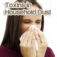 Household Invisible Toxins: How to Naturally Get Rid of Them