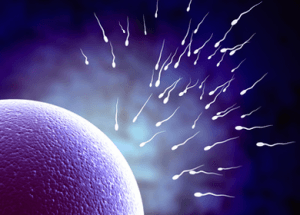 Want Healthy Active Sperm? Be Active and Healthy