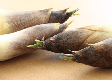 Boost Your Bowel Health with Bamboo Shoots