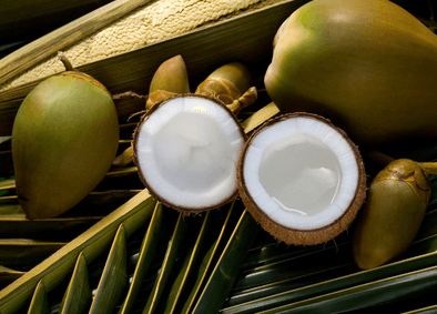 Get Tropically Healthy! The Magical Benefits of Coconuts
