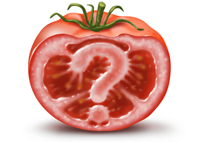Organic Tomatoes Crush GMO Tomatoes in Nutrients