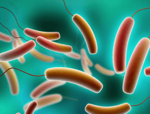  Probiotics Could Prevent Fatal Toxic Shock in Women