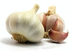 garlic