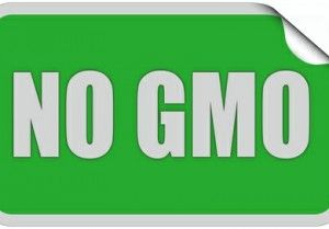 no gmo