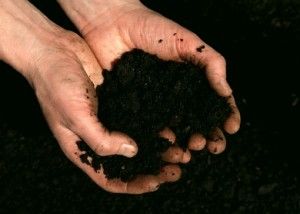 soil