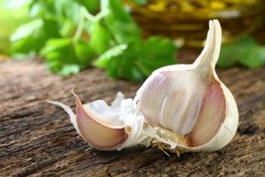 garlic