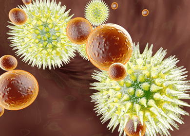 Destroying Gut Viruses to Decrease Antibiotic Resistance – A Dangerous Idea