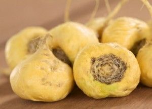 Maca root