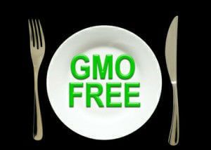 gmo free