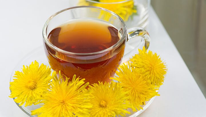 How To Poop More Often With Dandelion Tea