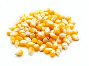 corn 