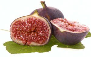 fig