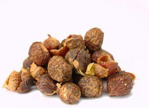 Soap nuts