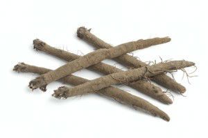 burdock root