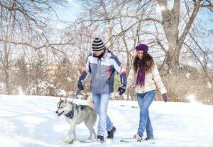 winter walk