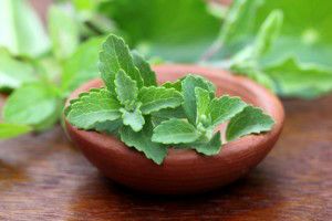 stevia