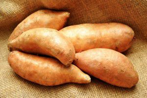 sweet potato