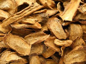 burdock root