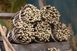 Licorice root