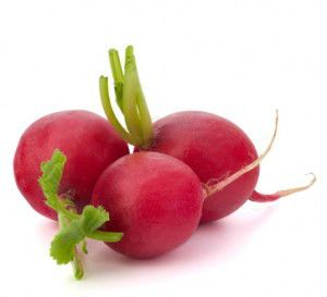 radish