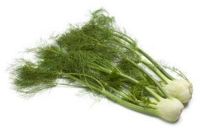 fennel