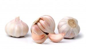 Garlic