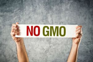 No GMO.