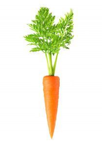 Carrot