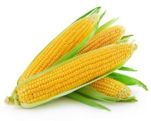 corn