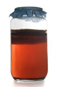 kombucha tea