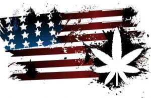 Marijuana American Flag