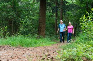 Senior couple walking with dog in nature