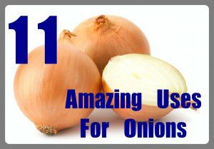 Fresh bulbs of onion