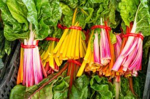 swiss chard