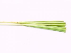 Fresh Lemongrass 