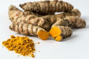 Turmeric (Curcuma longa)